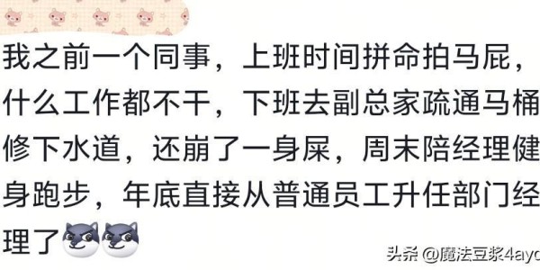 过分谄媚会显得特别真诚！网友：看完发现，我两千的工资一点不冤